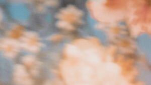 Arquétipo inocente suave